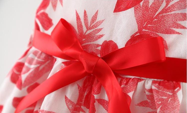 Baby Dress with Skirt Tide