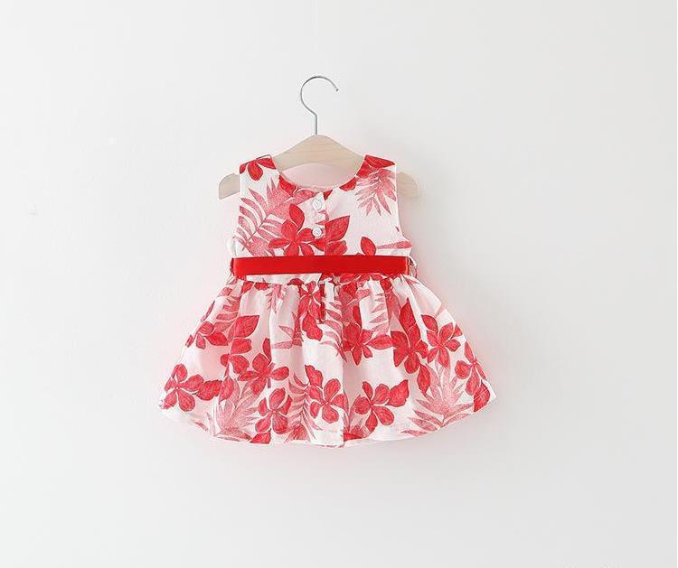 Baby Dress with Skirt Tide